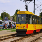 zdjęcie nr 7