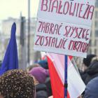 zdjęcie nr 60