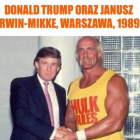 zdjęcie nr 9