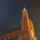 zdjęcie nr 14