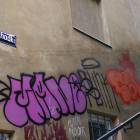 Fotka nr 5 z 12
