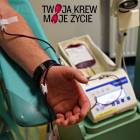 Fotka nr 2 z 5