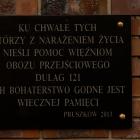 zdjęcie nr 15