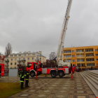 Fotka nr 5 z 13