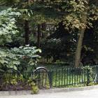 zdjęcie nr 8