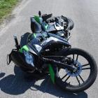Fotka nr 1 z 3