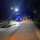 zdjęcie nr 7