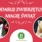 Fotka nr 0 z 10