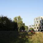 zdjęcie nr 12