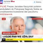 Fotka nr 3 z 6