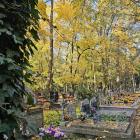 zdjęcie nr 48