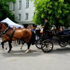 zdjęcie nr 51