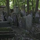 zdjęcie nr 12