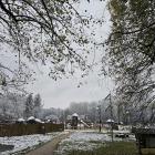 zdjęcie nr 8