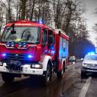 Fotka nr 4 z 17
