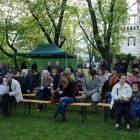 zdjęcie nr 15