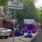 Fotka nr 1 z 4