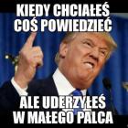zdjęcie nr 28