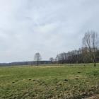 zdjęcie nr 30