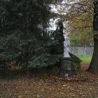 zdjęcie nr 8