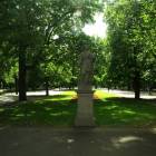 zdjęcie nr 26