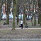 zdjęcie nr 83