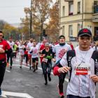 zdjęcie nr 134