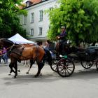 zdjęcie nr 46