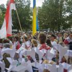 zdjęcie nr 19