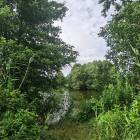 zdjęcie nr 26