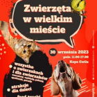Fotka nr 0 z 1