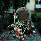 zdjęcie nr 42
