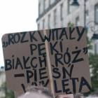 zdjęcie nr 28