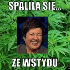 Fotka nr 1 z 12