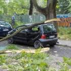 Fotka nr 2 z 4