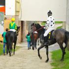 zdjęcie nr 43
