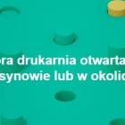 zdjęcie nr 13