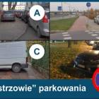Fotka nr 4 z 5