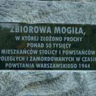 zdjęcie nr 8