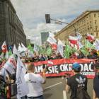 zdjęcie nr 14