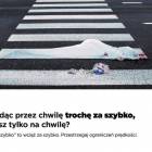 Fotka nr 0 z 3