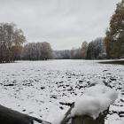 zdjęcie nr 52