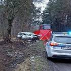 Fotka nr 1 z 5