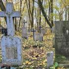 zdjęcie nr 15