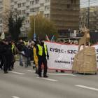 zdjęcie nr 17