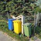 zdjęcie nr 7