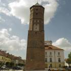 zdjęcie nr 50