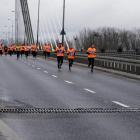 zdjęcie nr 18