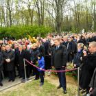 zdjęcie nr 104