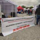 Fotka nr 3 z 13